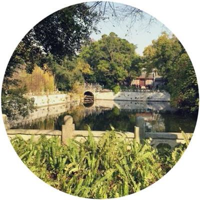 大圣之怒华为版最新版下载